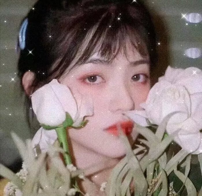 游说